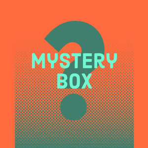MYSTERY GRAB BOX! - Schismatic Industries